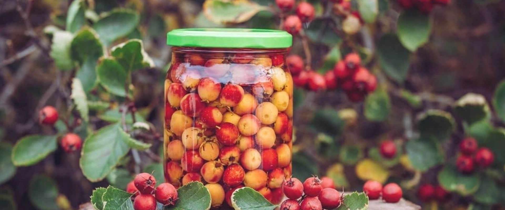 The Truth About Hawthorn Berry: Potential Side Effects and Benefits