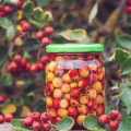 The Truth About Hawthorn Berry: Potential Side Effects and Benefits