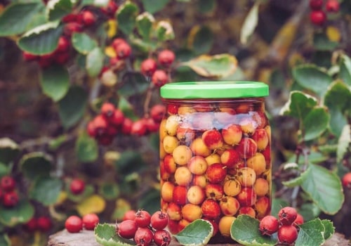 The Truth About Hawthorn Berry: Potential Side Effects and Benefits